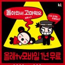올레게 티스토리