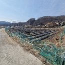 무성리농장 이미지