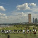 마지아 이미지