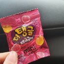 마이구미 최애 맛은???? 이미지