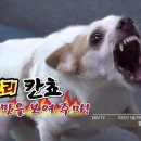 개과천선 이미지