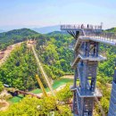 출렁다리 이미지