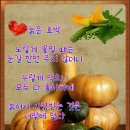 호박 이미지