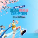 그림책 [365] 마라톤 | 대청호 벚꽃길 마라톤 대회 (25.4.12)
