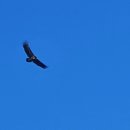 봉계농장 이미지