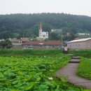승봉도_캠핑장 이미지