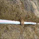 내곡농장 이미지