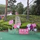 [경기/군포] 2024 군포 철쭉축제 비 오는 날 방문 후기(2024.04.20)