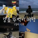 1박2일 강릉 뚜벅이 여행 1일차 여행기록(엄지네꼬막집/ 강릉숙소 여름의집/ 안목해변 밤바다/ 강릉중앙...