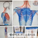 웰라이프 PT 스튜디오 이미지