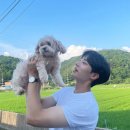 오세이사 리뷰💙추영우 신시아 청춘 멜로 솔직 후기
