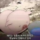 백산한우명가 이미지