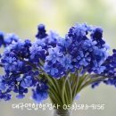 대구연합행정사사무소 이미지