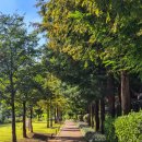 경의선숲길 이미지