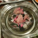 고기바보 이미지