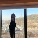 MJ 키즈 수영장 (명동점) | 호캉스 추천 그랜드하얏트 서울 프리미엄 남산뷰 수영장 아이스링크