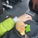 기억 속으로 사라져버린.. 템플스테이 후기 🪷