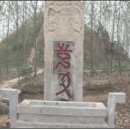 마고 이미지