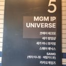 셰프뮤지엄 | 서울실내가볼만한곳 MGM IP UNIVERSE 세가미니뮤지엄 방문후기