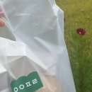 스테이 아네트 네이버블로그