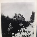 충남고등학교 | 충남고등학교(대전)7회