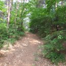 수양산 펜션 이미지