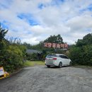 오향골송어 | 원주 치악산 신선한 송어회 맛집 오향골송어회