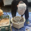 태안농협 농자재마트 이미지