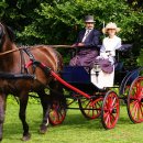 인생마차 이미지