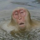 하루종일
