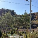 재인스가든 이미지