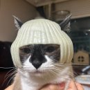 영석마트 | 나 미치는 꼴 보고싶어???(유 워너 씨 크레이지 퍼쓴 )