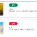 김포과학기술고등학교 이미지