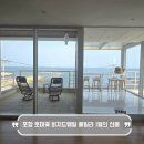 더설레임펜션 | 포항 호미곶 펜션 비치드웨일 풀빌라 1월의 선물 오션뷰 8인 숙박 후기