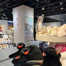 주차18 | 여수 아쿠아플라넷 아쿠아리움, 전시회 후기 | 입장권 18% 할인 | 주차 | 니모 굿즈 키링