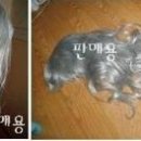 이라다