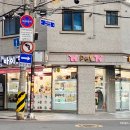 디자인바이펫 이미지