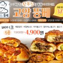 뚱베 이미지
