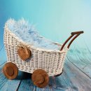 유모차 콘서트 이미지