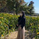 휘뚜루마뚜루 잡화점
