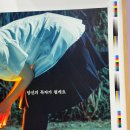 굿시드바이오 | 여섯(6) 번째 사요코
