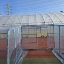 정왕육상경기장 이미지