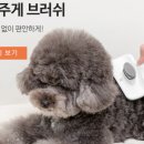 일상공감 이미지