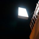 Stay here(스테이히얼) 이미지