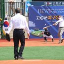 고성군 야구장 이미지