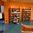 성수약국 이미지