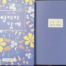 열려라 참깨 이미지