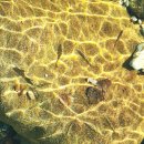 인제11 | 인제 백담사 가을 단풍 여행 후기｜11월 초 셔틀버스·주차 정보까지 총정리