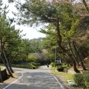 영락도서관 이미지