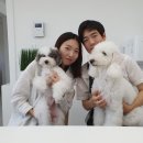 마리앤트리